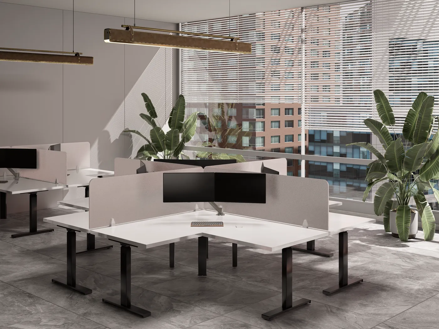 Open plan desks beside full height glazing and planting